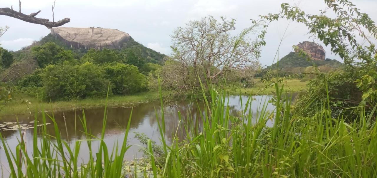 Rock Lake Home Stay Sigiriya Eksteriør billede
