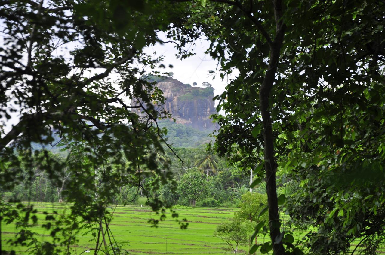 Rock Lake Home Stay Sigiriya Eksteriør billede