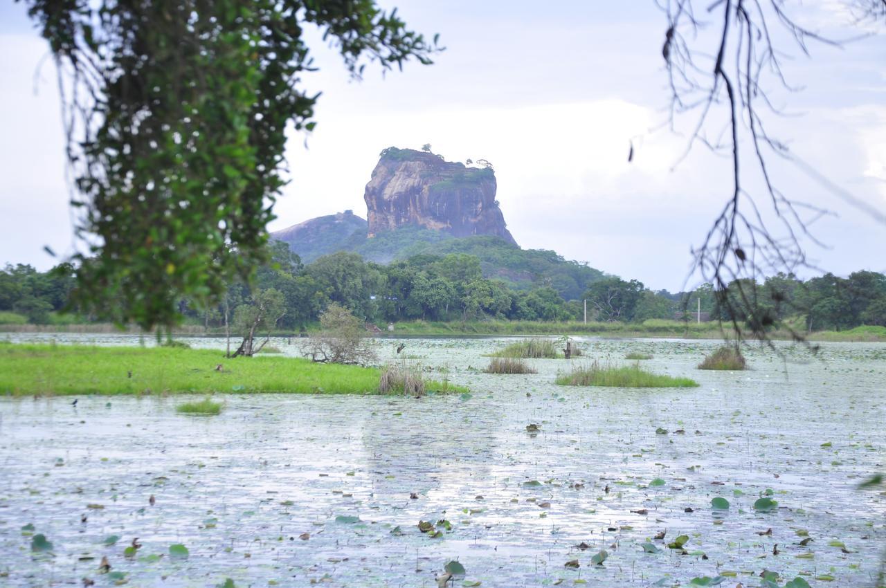 Rock Lake Home Stay Sigiriya Eksteriør billede