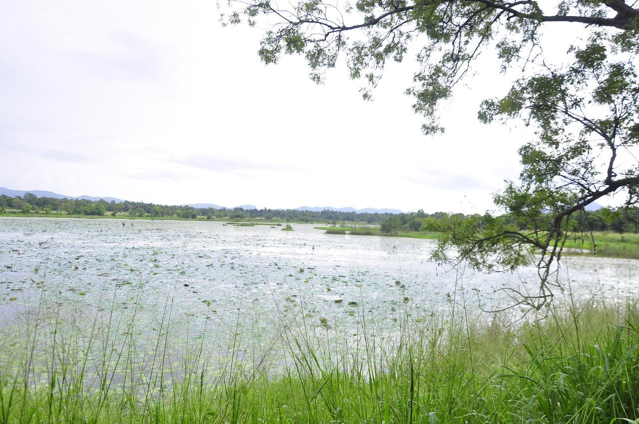 Rock Lake Home Stay Sigiriya Eksteriør billede