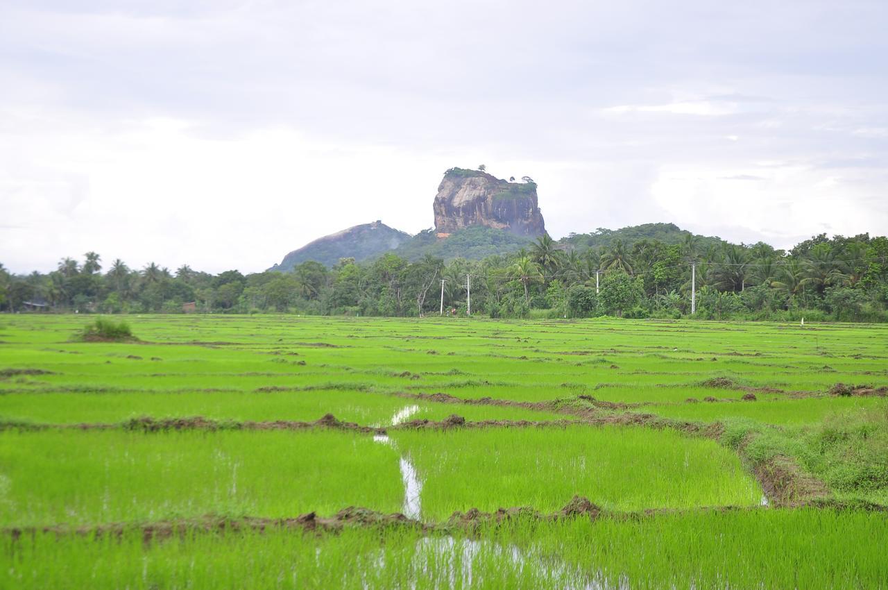 Rock Lake Home Stay Sigiriya Eksteriør billede